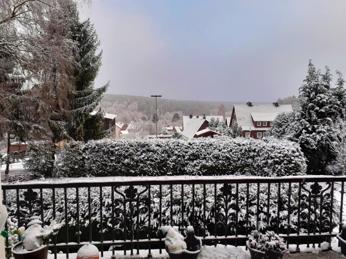 Villa Tannerhof Braunlage Eksteriør bilde