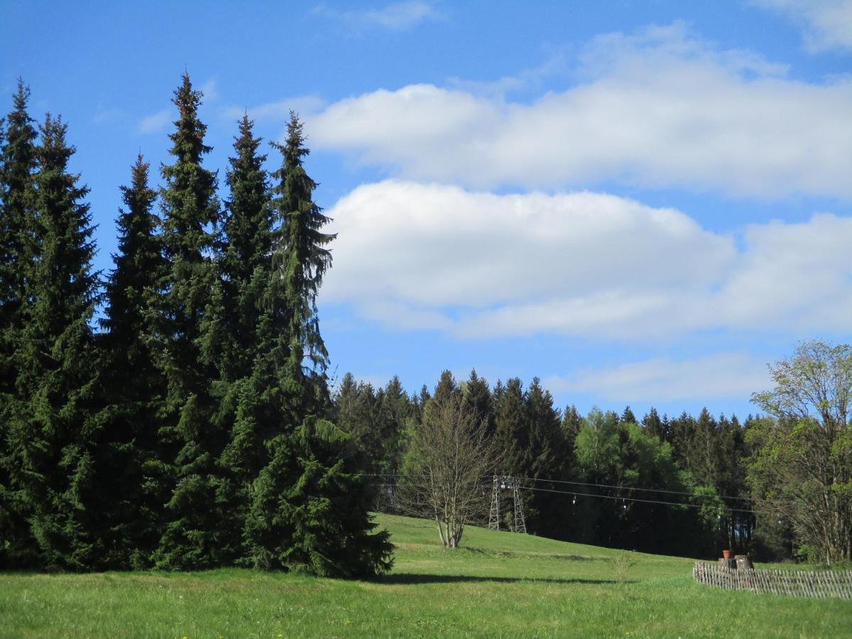 Villa Tannerhof Braunlage Eksteriør bilde