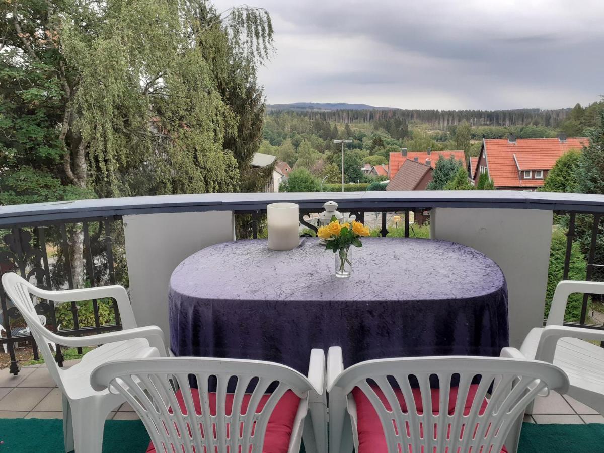 Villa Tannerhof Braunlage Eksteriør bilde