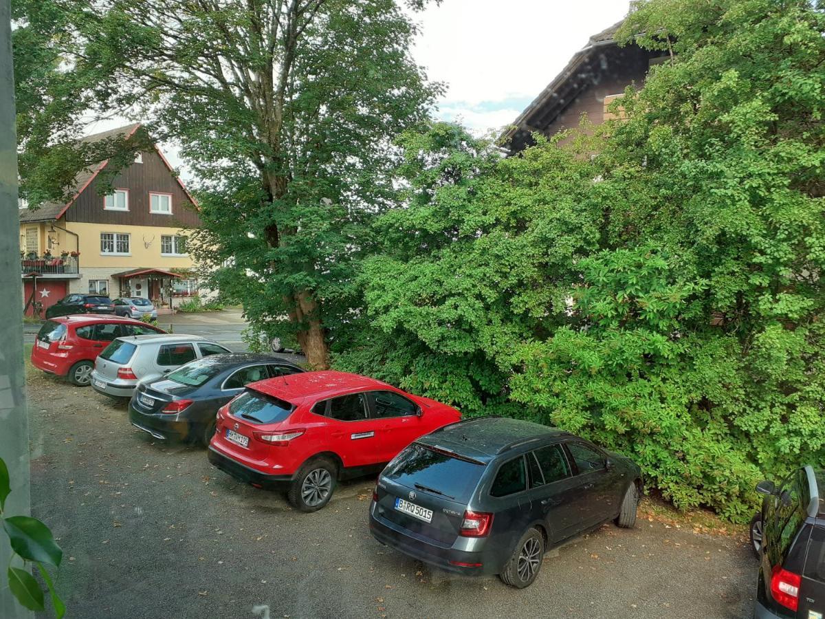 Villa Tannerhof Braunlage Eksteriør bilde